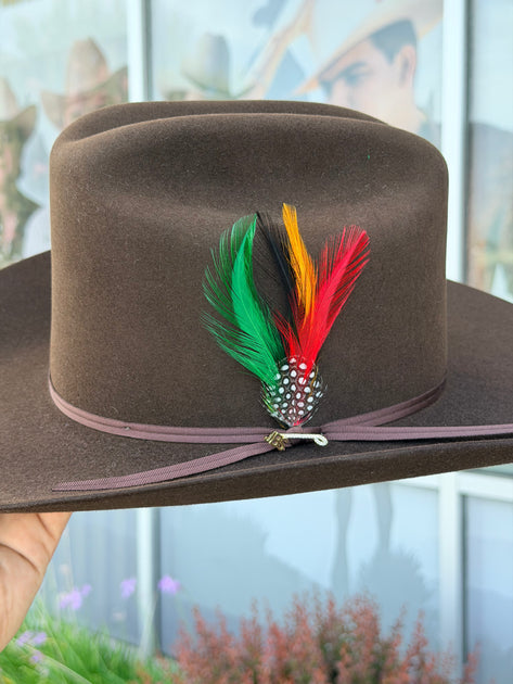 Stetson 30x Rancher Chocolate (Copa Alta Falda 4