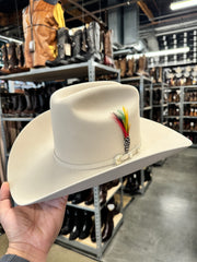 Stetson 10x Shasta Silverbelly (Copa Alta Falda 4")