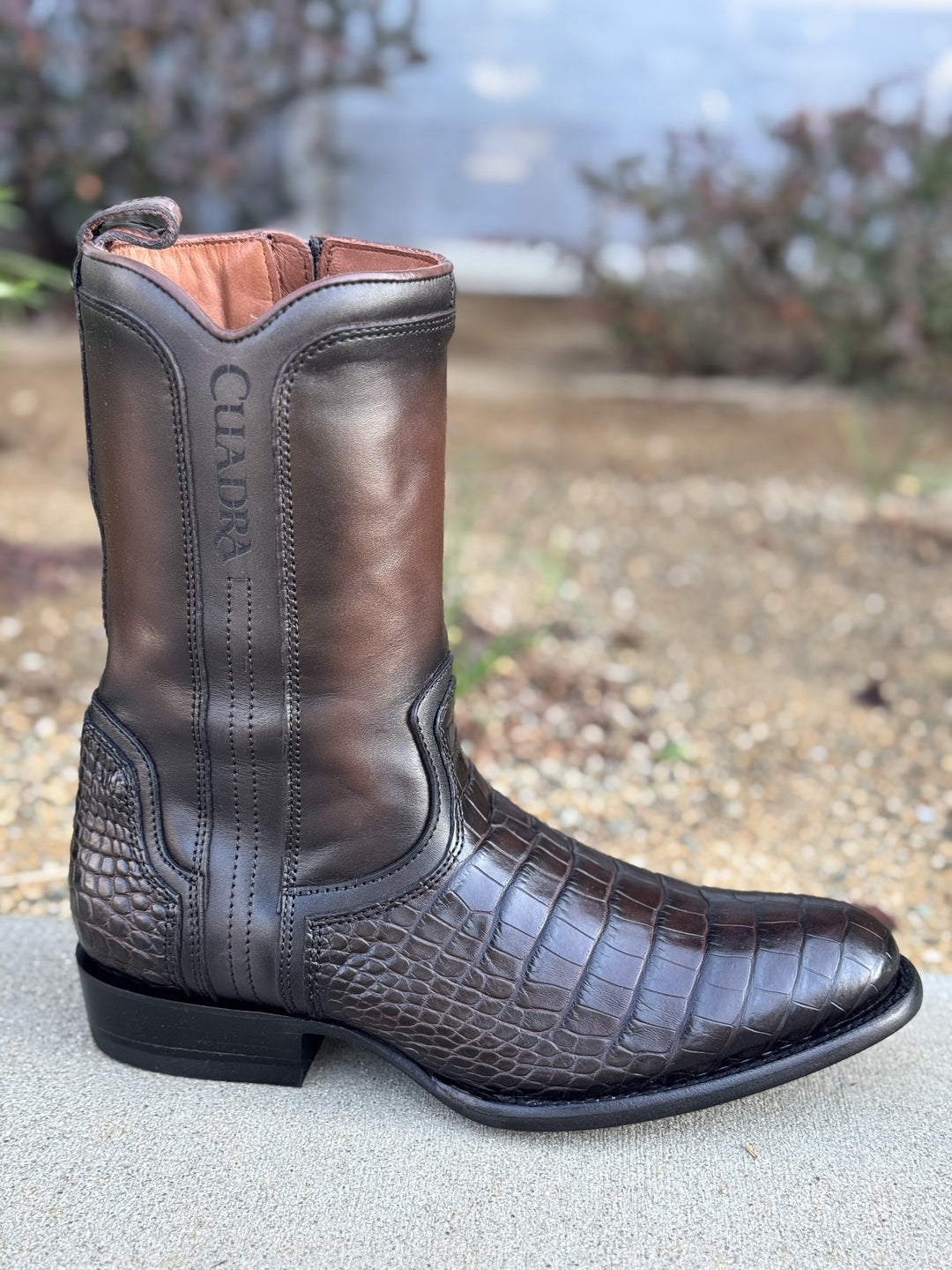 Botin Cuadra Piel de Alligator Horma Round Toe - Luxo Moka