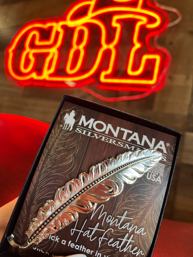 Pluma de Acero Inoxidable/Stainless Steel Hat Feather - Montana Silversmith (PLEATEADO)