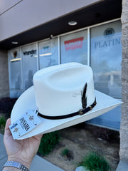 15x Panama Copa Chica falda/brim 3.5" (EL CENTENARIO)
