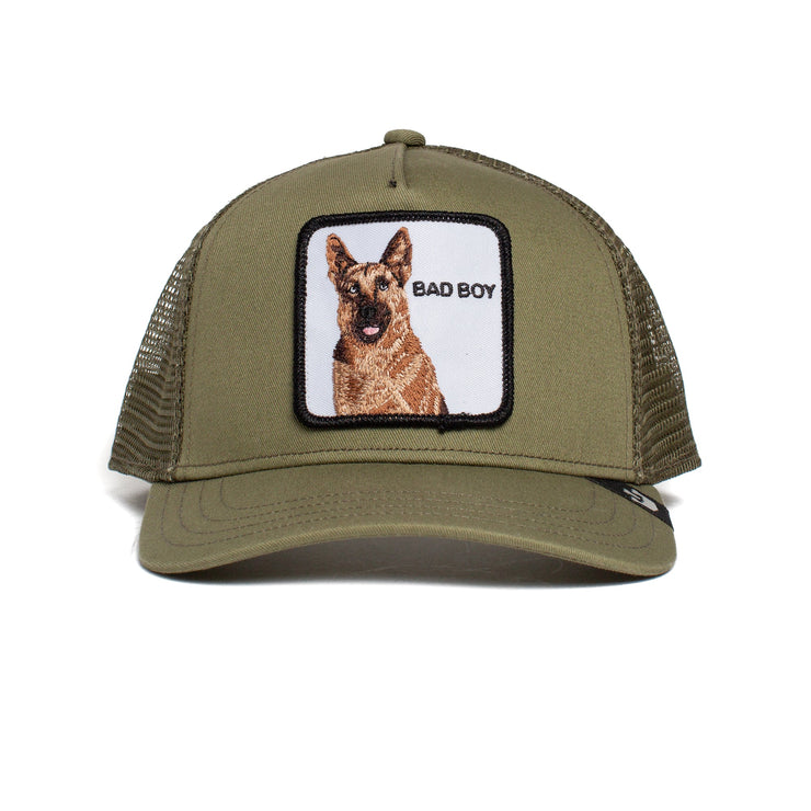 The Bad Boy- Olive