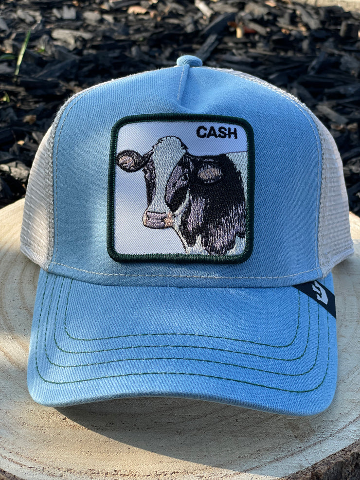 Cash Cow - Blue