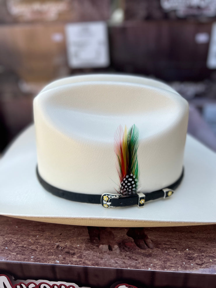 10,000x falda/brim 3.5" Avestruz Negro Sinaloa Style Hat (Exclusive)
