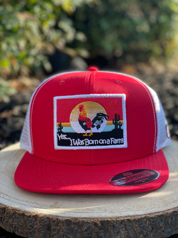 Justin Cap - Red/White