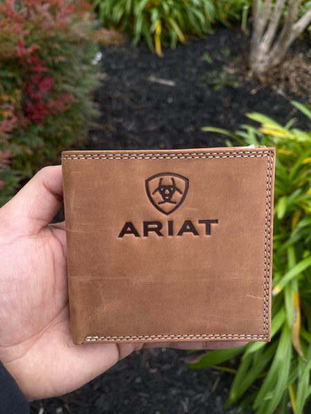 [hieta] / ☆ Bella Card Wallet / Camel hieta] / ☆ Bella Card Wallet / Camel