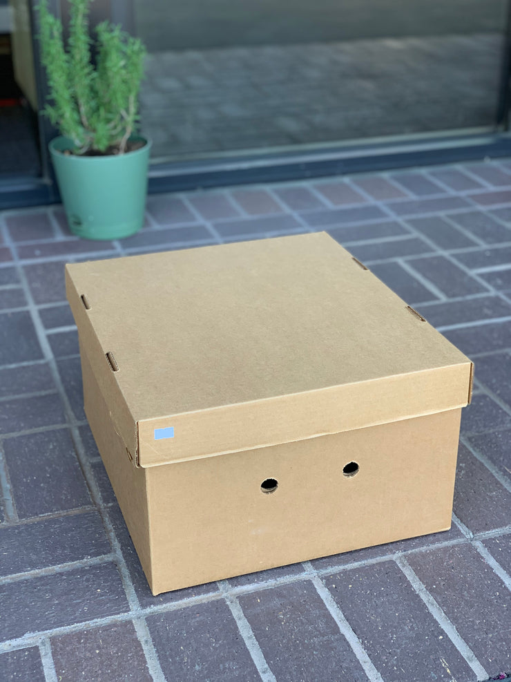 Hat Box (fits one hat)