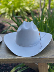 Stetson 6x Spartan Mist Grey Cowboy Felt Hat Sinaloa (Copa Chica Falda/Brim 3.5")